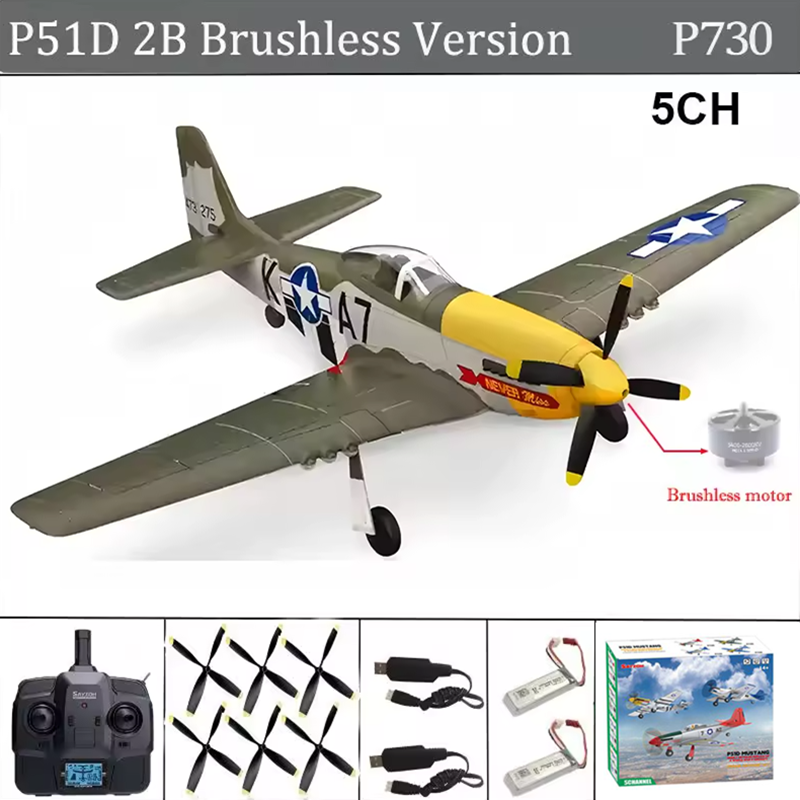 RC 飛行機 5CH 3D/6G 固定翼 RC 飛行機 P5 - Rc Hobby Grade Helicopter のレビューと価格