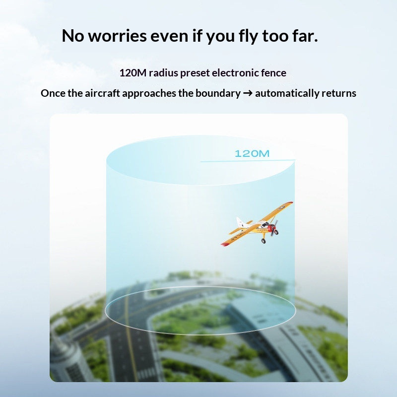 新入荷 FMS RC 飛行機 800mm ビーバー 小型翼幅 - Rc Hobby Plane のレビューと価格