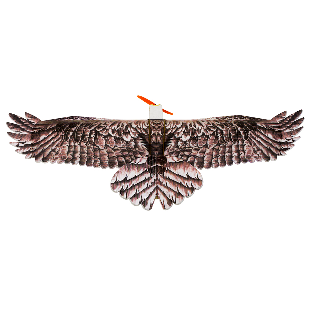 DWホビー イーグルII EPP飛行機 RC飛行機キット フ - Rc Hobby Plane のレビューと価格